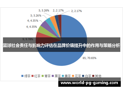 篮球社会责任与影响力评估在品牌价值提升中的作用与策略分析