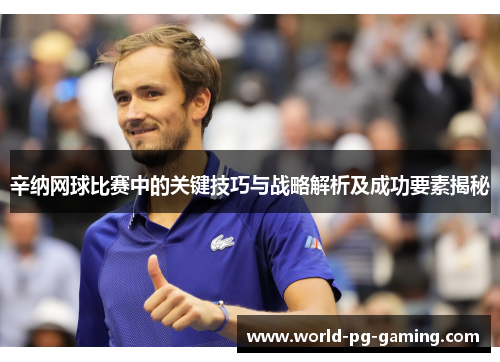 辛纳网球比赛中的关键技巧与战略解析及成功要素揭秘