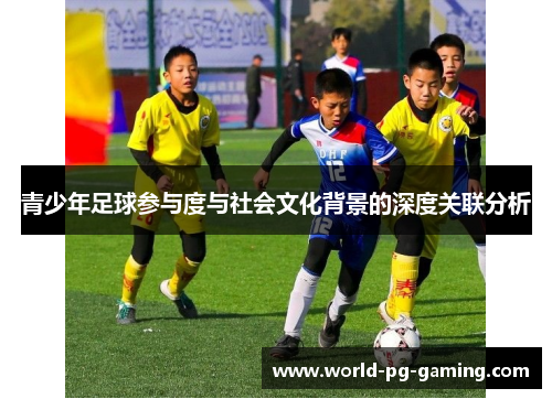 青少年足球参与度与社会文化背景的深度关联分析