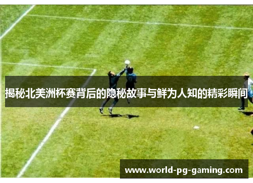 揭秘北美洲杯赛背后的隐秘故事与鲜为人知的精彩瞬间