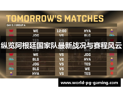 纵览阿根廷国家队最新战况与赛程风云