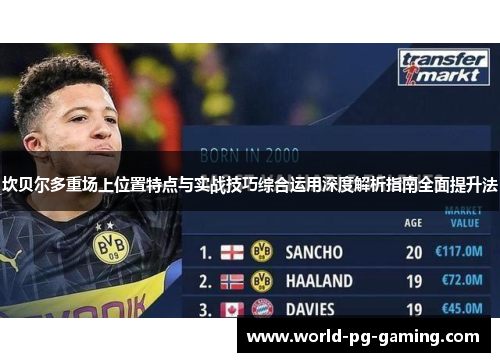 坎贝尔多重场上位置特点与实战技巧综合运用深度解析指南全面提升法