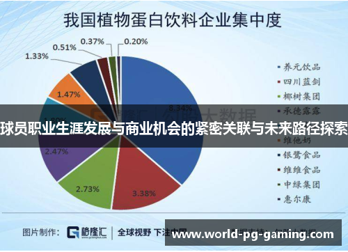 球员职业生涯发展与商业机会的紧密关联与未来路径探索