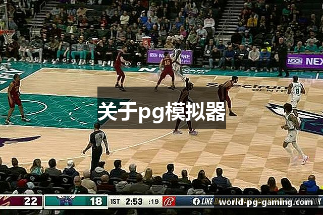 关于pg模拟器